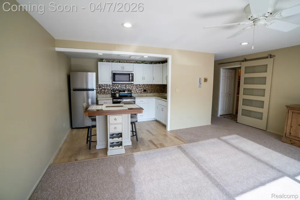 20 Chestnut Street #302 Wyandotte City, MI 48192