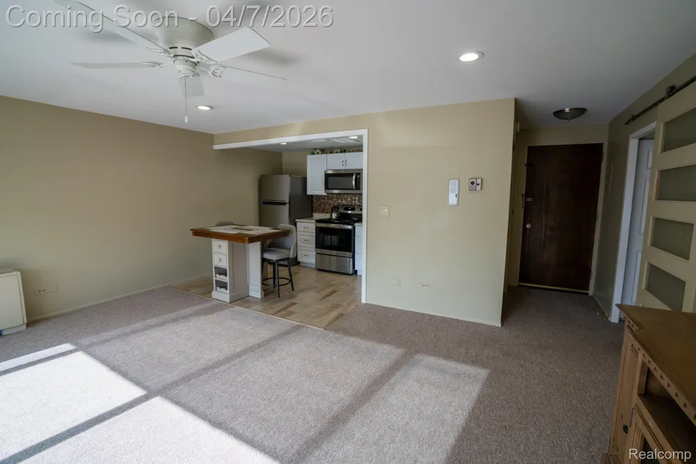 20 Chestnut Street #302 Wyandotte City, MI 48192