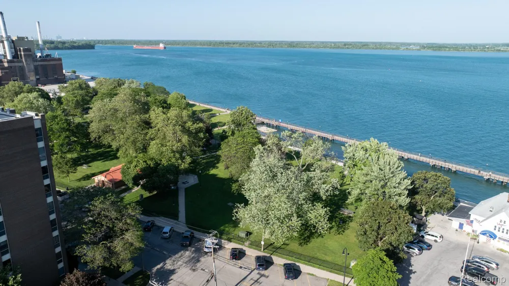20 Chestnut Street #302 Wyandotte City, MI 48192