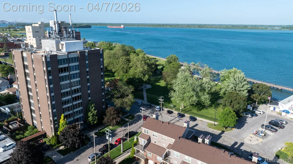 20 Chestnut Street #302 Wyandotte City, MI 48192