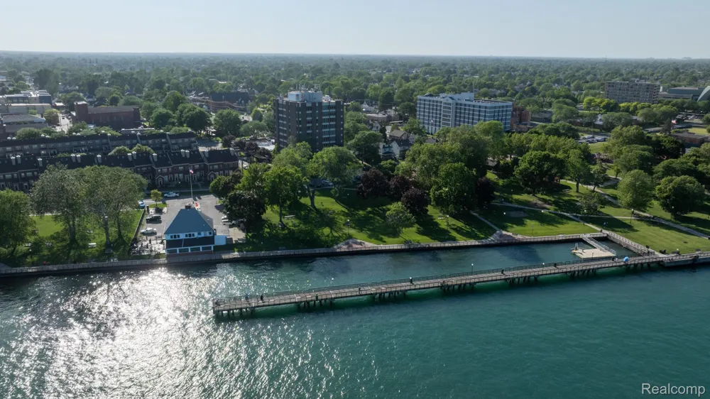 20 Chestnut Street #302 Wyandotte City, MI 48192
