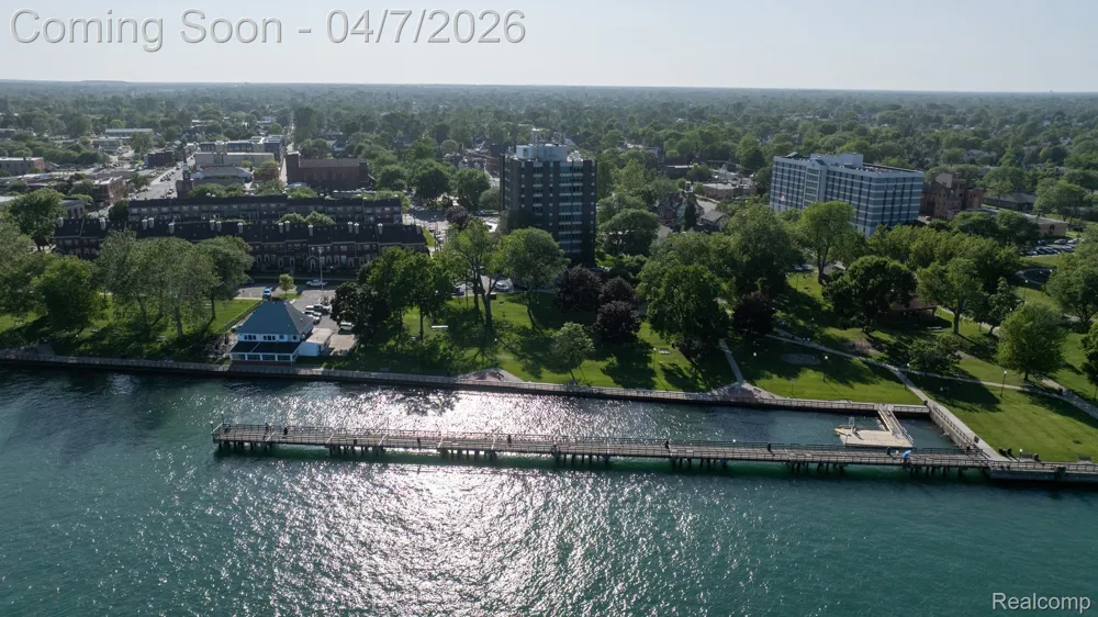 20 Chestnut Street #302 Wyandotte City, MI 48192