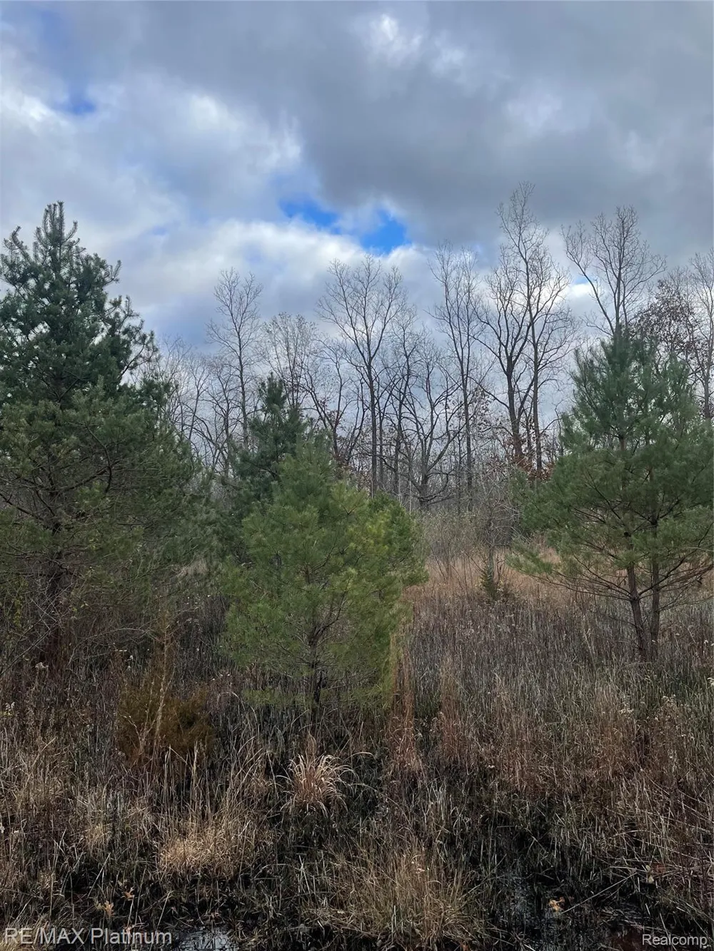 SEYMOUR ROAD Argentine Township, MI 48451