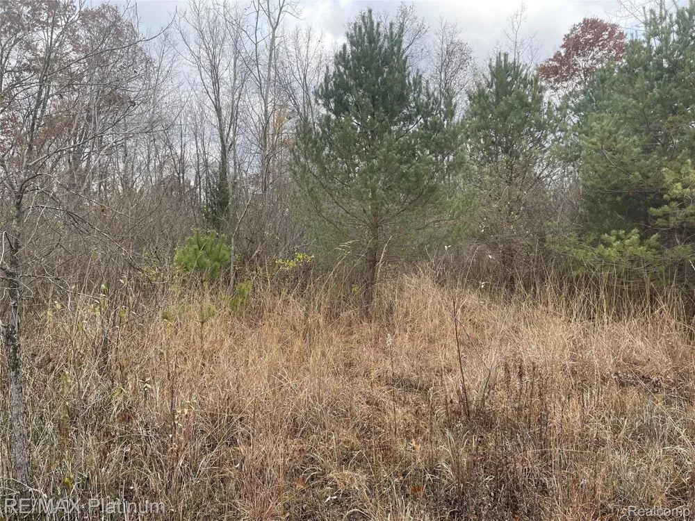 SEYMOUR ROAD Argentine Township, MI 48451