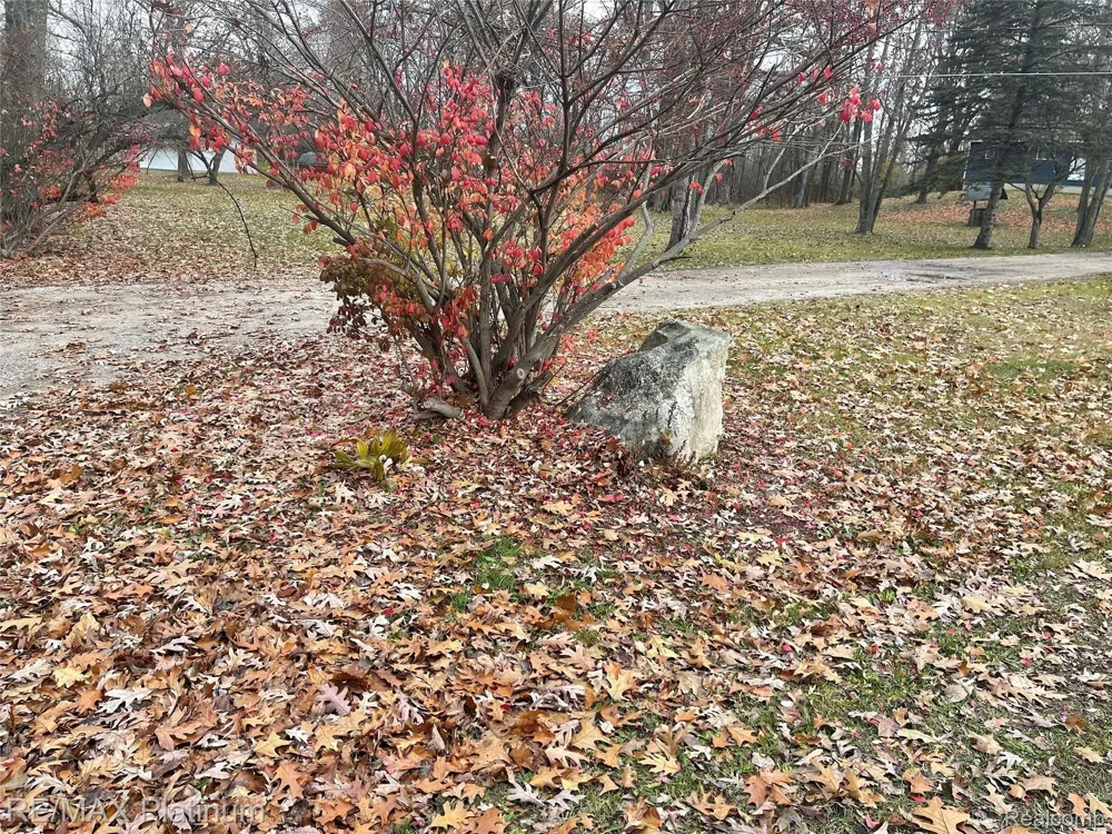 SEYMOUR ROAD Argentine Township, MI 48451