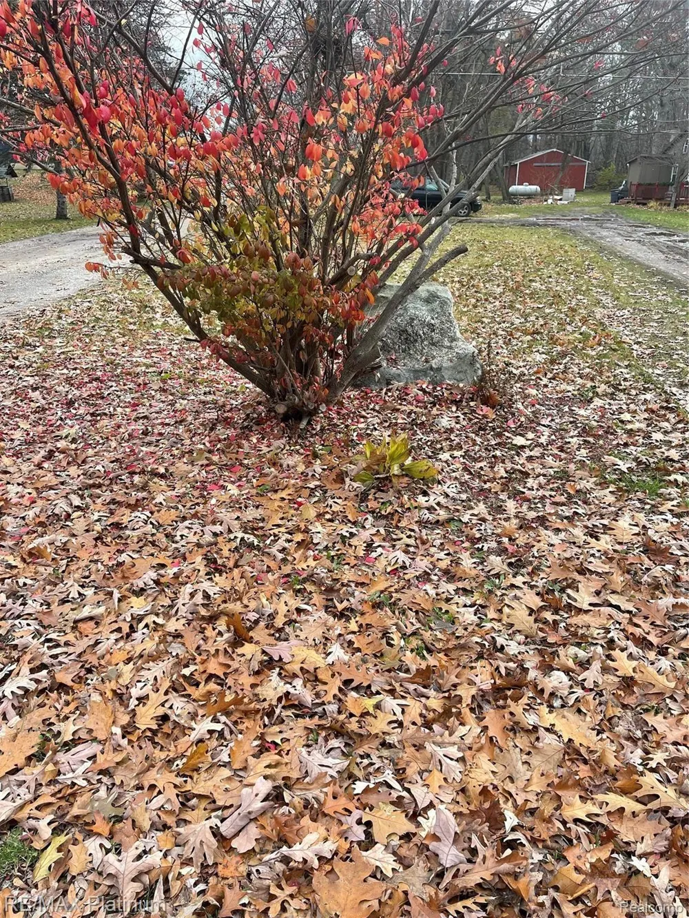 SEYMOUR ROAD Argentine Township, MI 48451