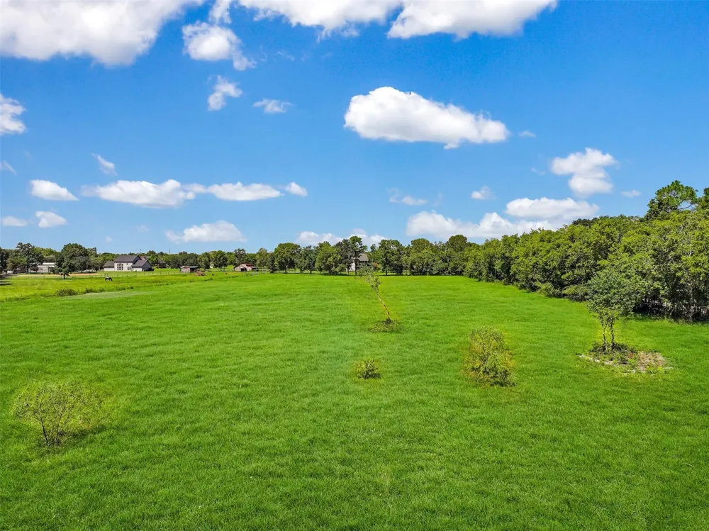 Hollier Road Friendswood, TX 77546