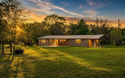 317 County Road 4392