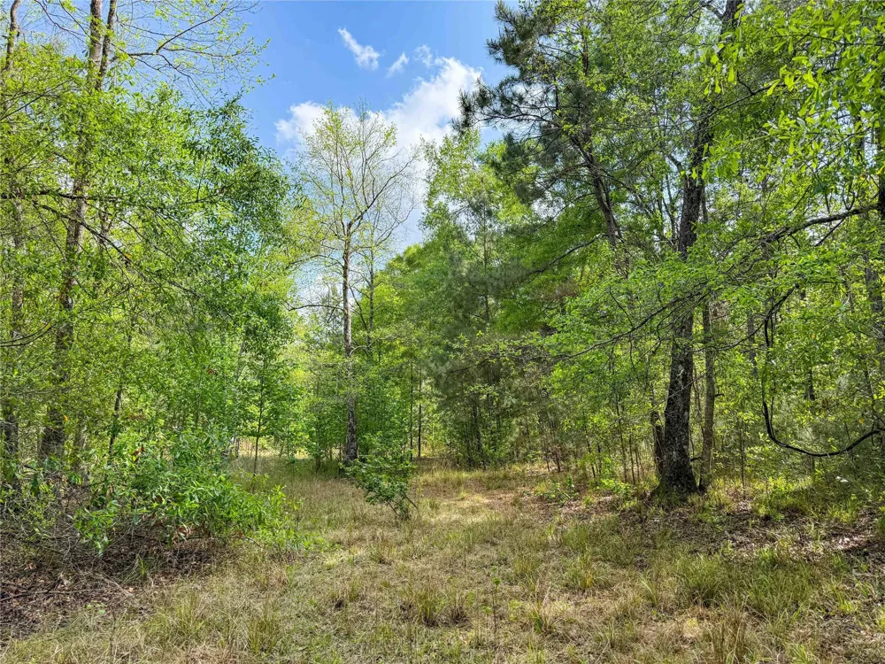 317 County Road 4392 Hillister, TX 77624