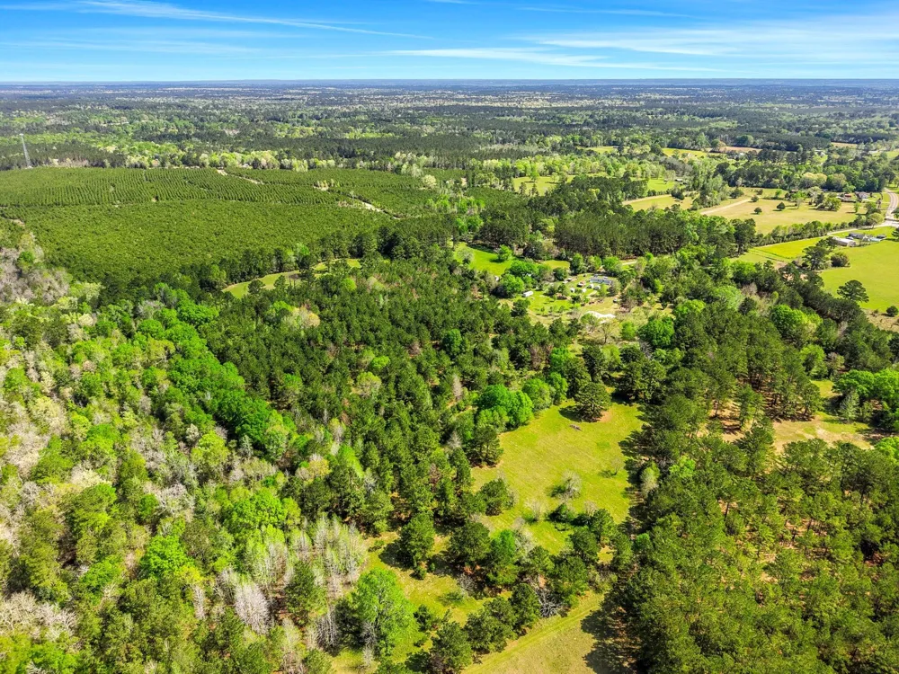 317 County Road 4392 Hillister, TX 77624