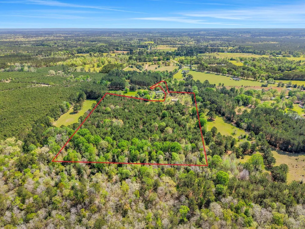 317 County Road 4392 Hillister, TX 77624