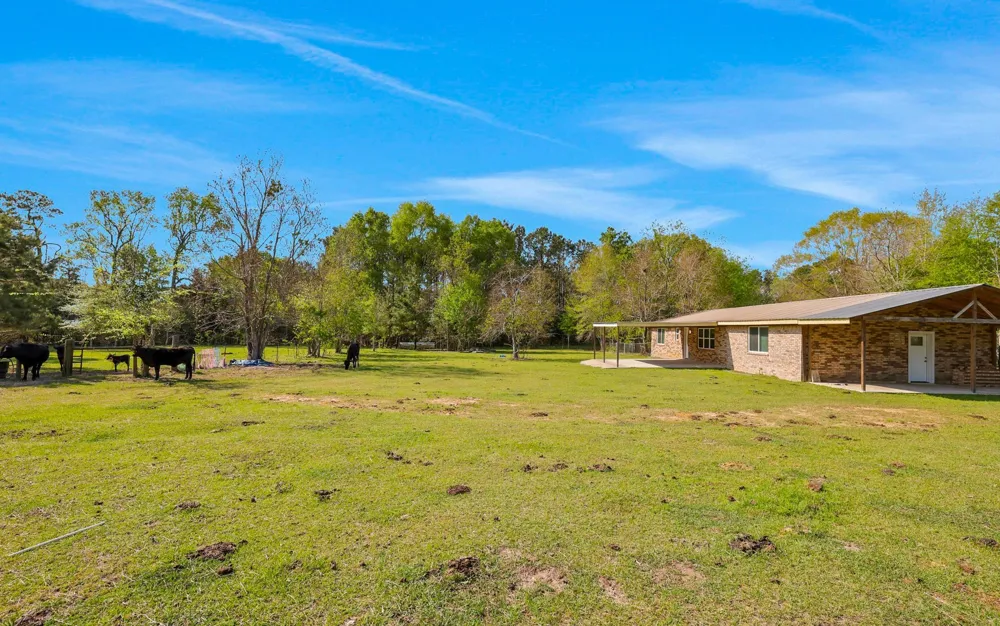 317 County Road 4392 Hillister, TX 77624