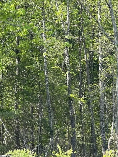 00 Woodfin Road