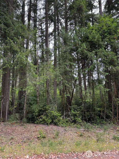 12216 Wapato Road