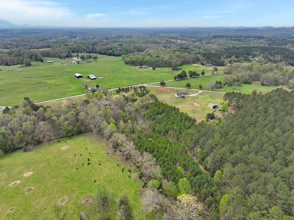329 County Road 775 Riceville, TN 37370