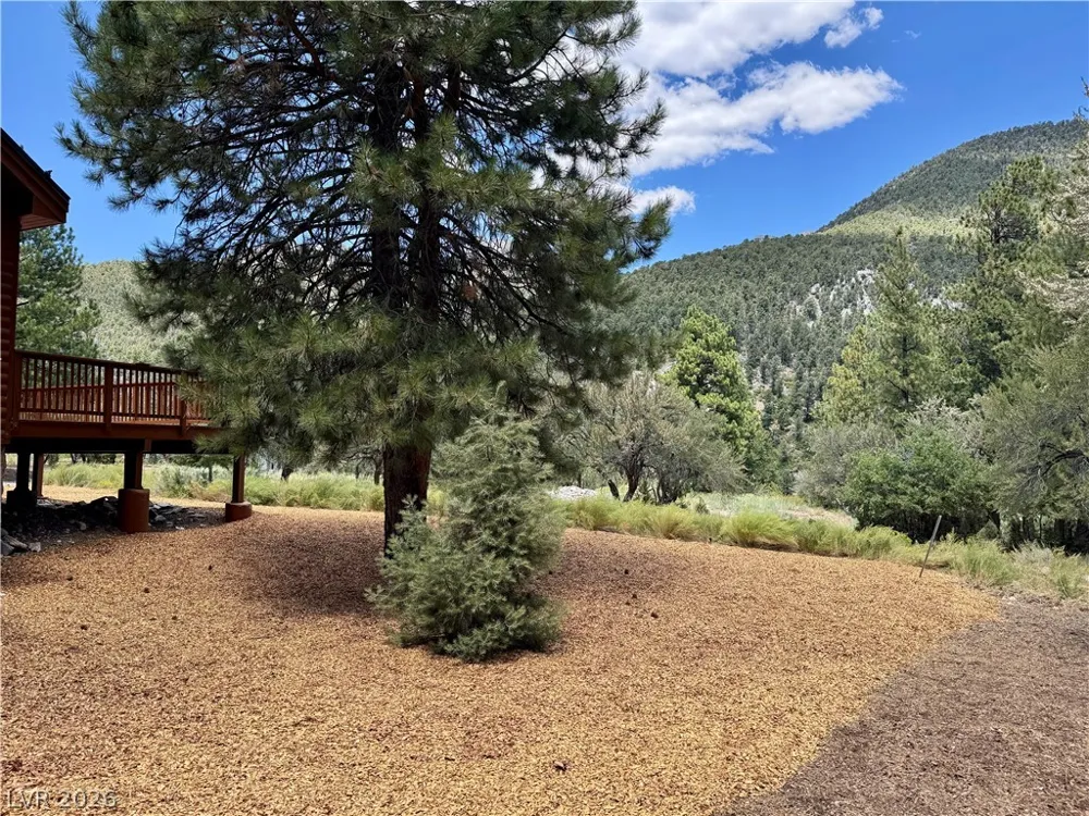 240 Alpine Crest Court Mount Charleston, NV 89124
