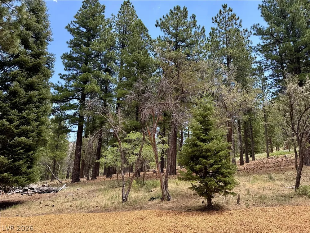 240 Alpine Crest Court Mount Charleston, NV 89124