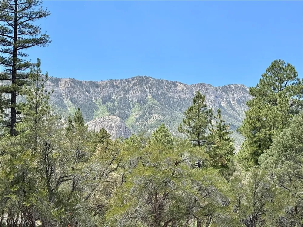 240 Alpine Crest Court Mount Charleston, NV 89124