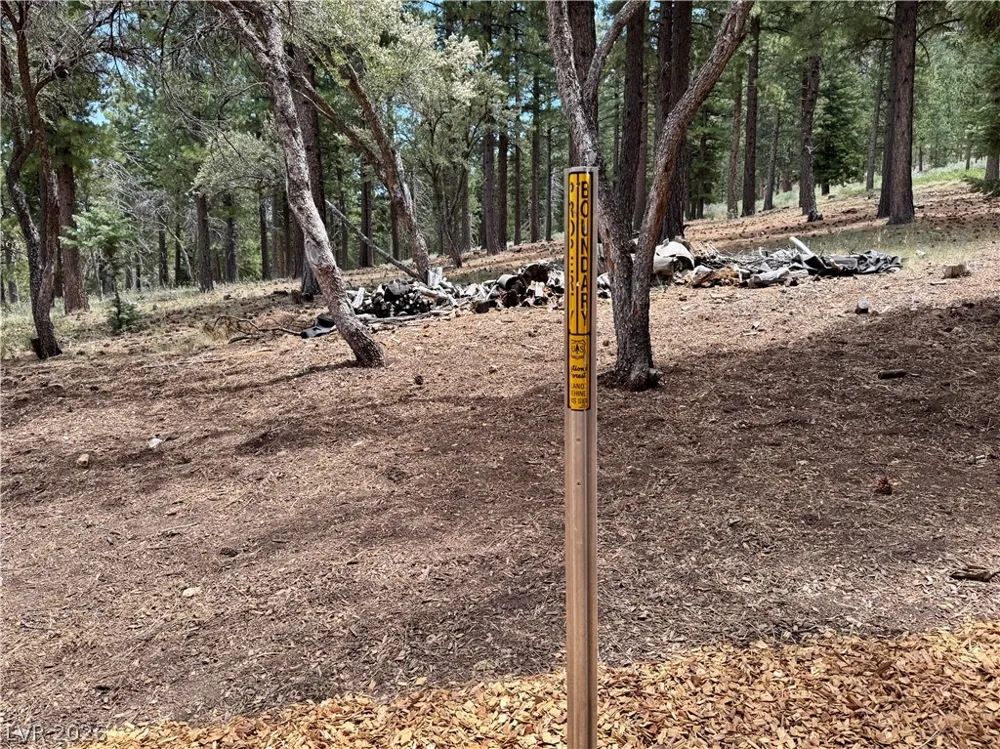240 Alpine Crest Court Mount Charleston, NV 89124