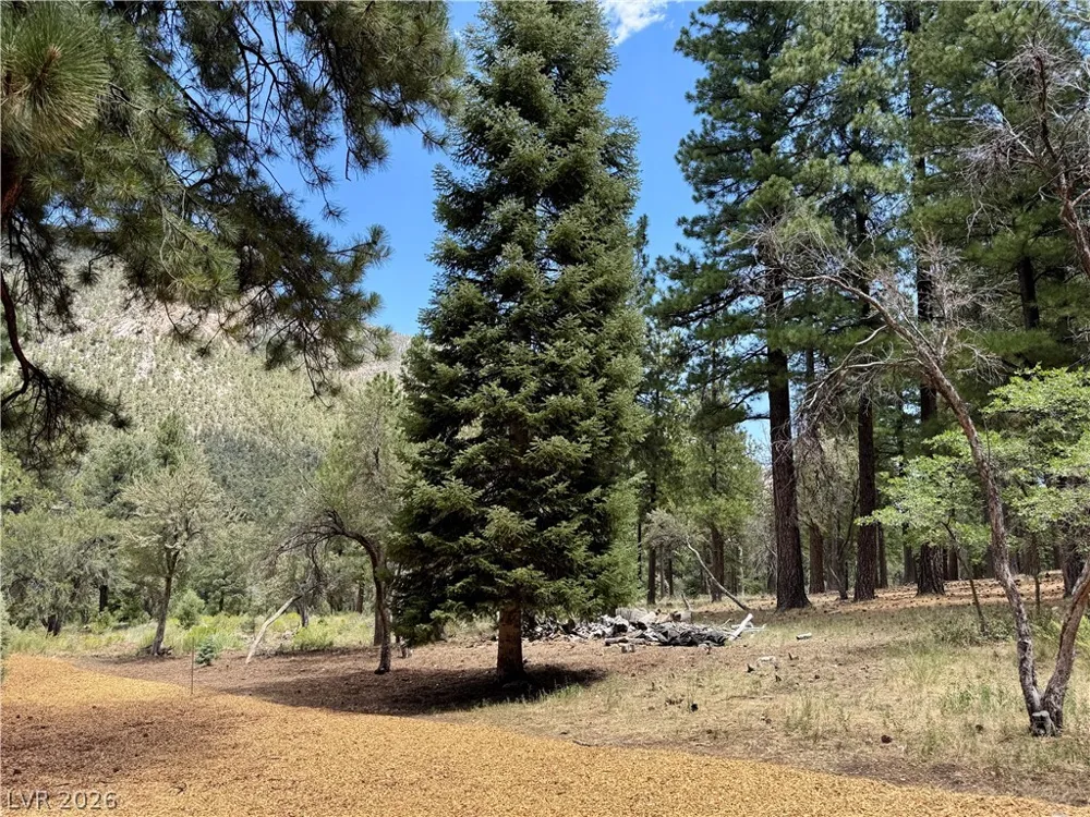 240 Alpine Crest Court Mount Charleston, NV 89124