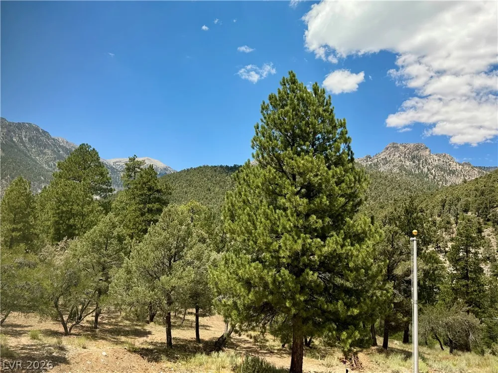 240 Alpine Crest Court Mount Charleston, NV 89124