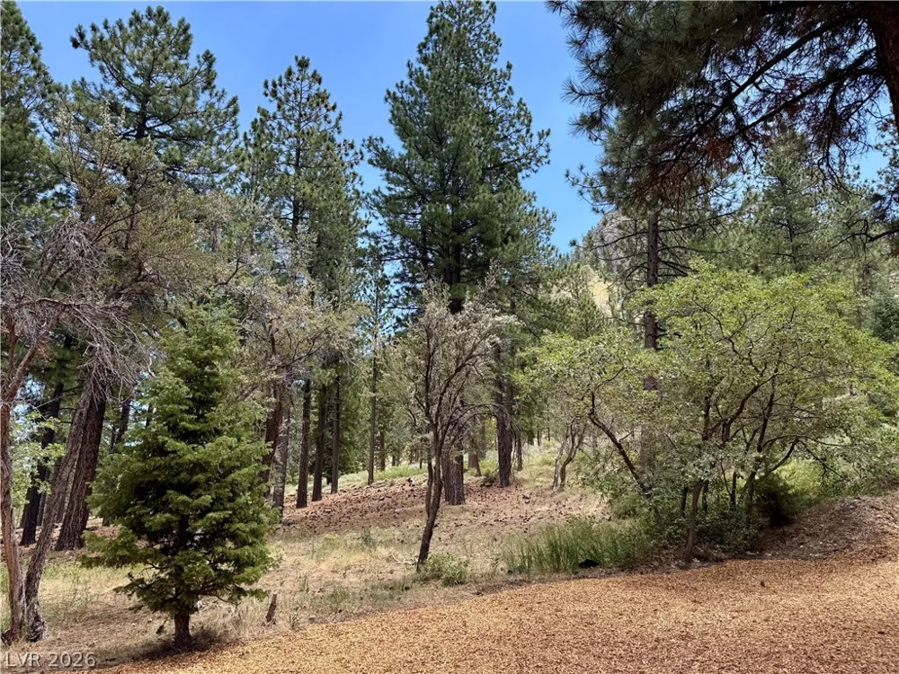 240 Alpine Crest Court Mount Charleston, NV 89124