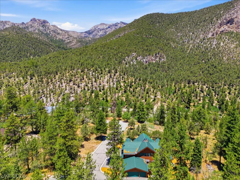 240 Alpine Crest Court Mount Charleston, NV 89124