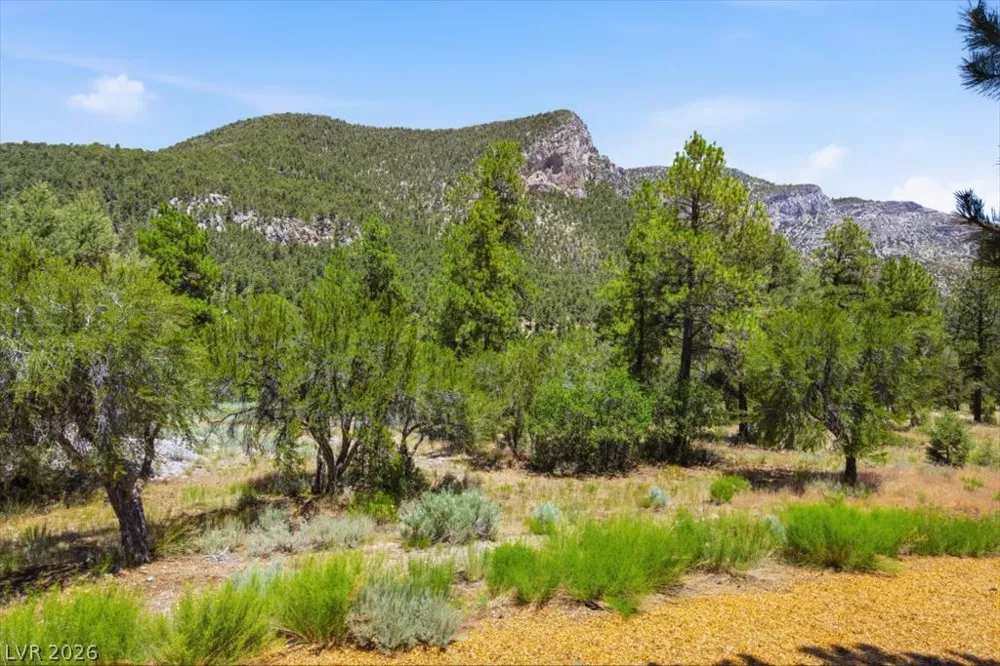 240 Alpine Crest Court Mount Charleston, NV 89124