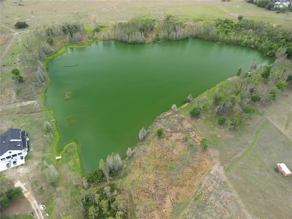 TBD TIMBERS DRIVE Fort Meade, FL 33841