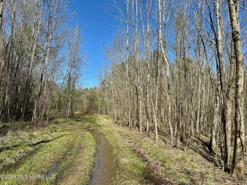 0 Swamp Road
