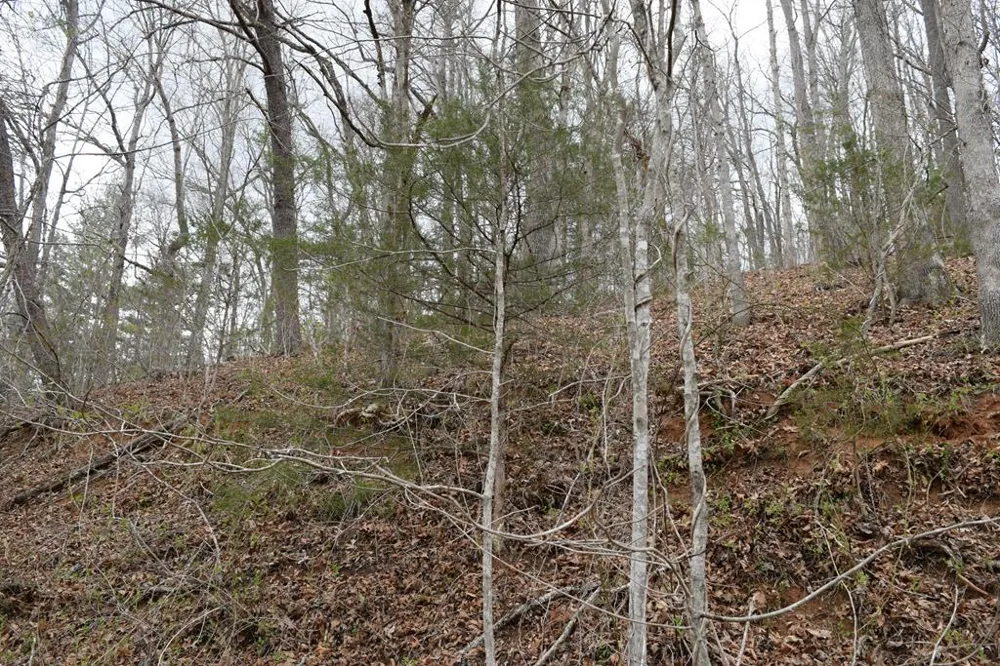 Bel Air Rd Cullowhee, NC 28723