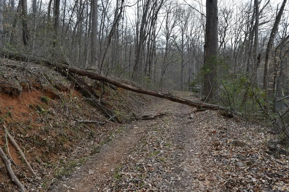 Bel Air Rd Cullowhee, NC 28723