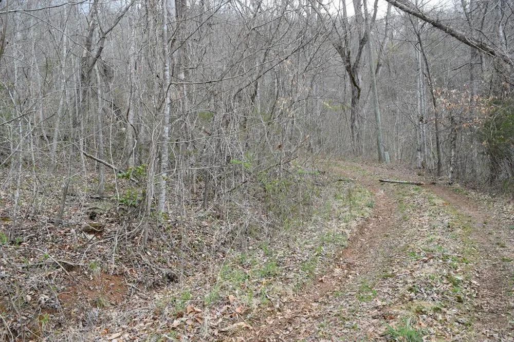 Bel Air Rd Cullowhee, NC 28723