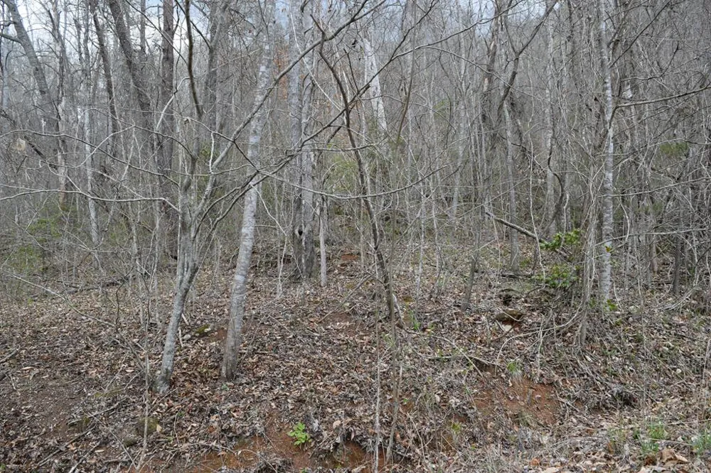 Bel Air Rd Cullowhee, NC 28723