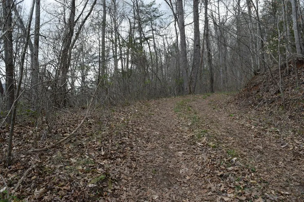 Bel Air Rd Cullowhee, NC 28723