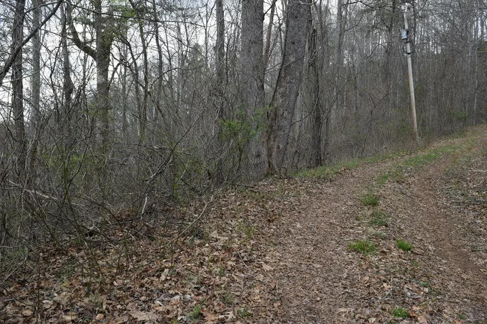 Bel Air Rd Cullowhee, NC 28723