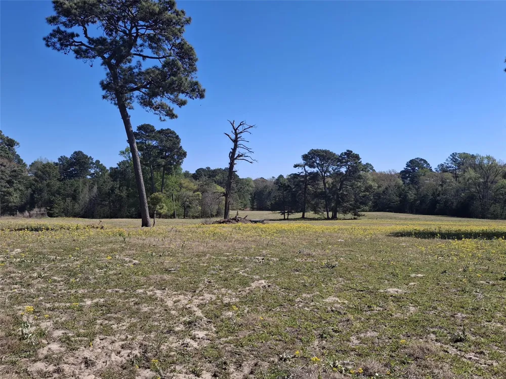 435 Fm 2064 Jacksonville, TX 75766