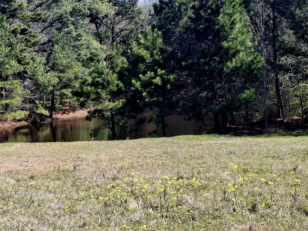 435 Fm 2064 Jacksonville, TX 75766