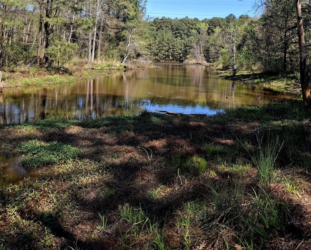 435 Fm 2064 Jacksonville, TX 75766
