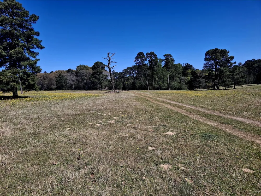 435 Fm 2064 Jacksonville, TX 75766