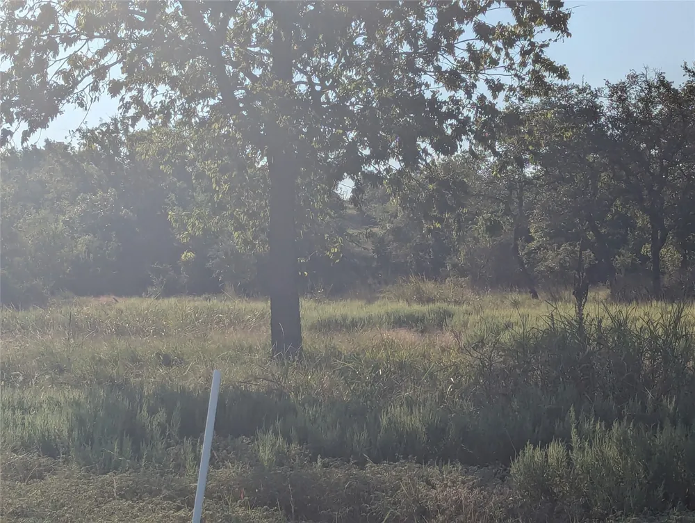 CR 633 Indian Gap, TX 76531
