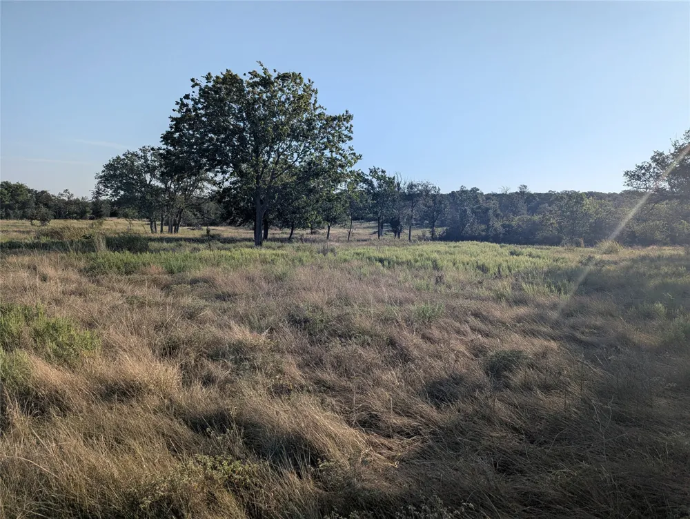 CR 633 Indian Gap, TX 76531
