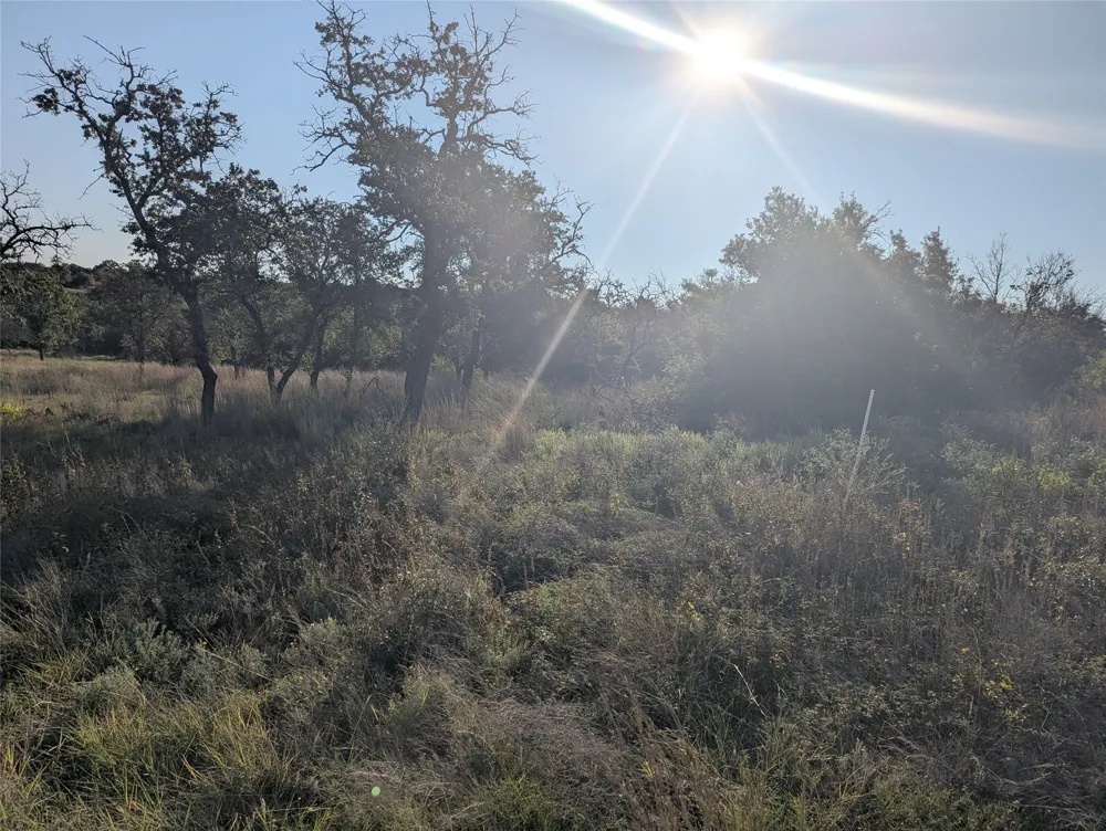 CR 633 Indian Gap, TX 76531