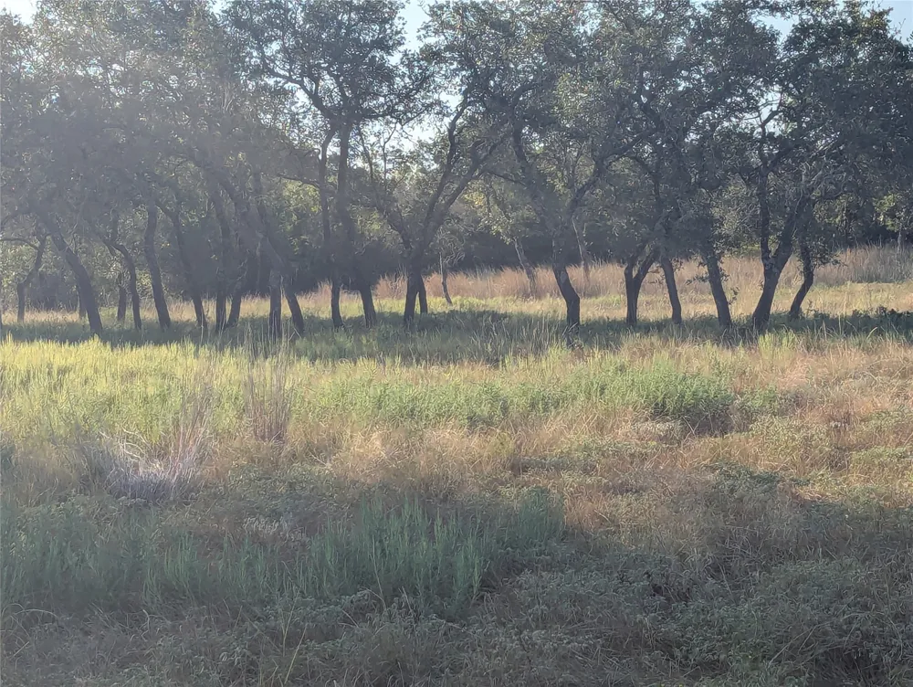 CR 633 Indian Gap, TX 76531