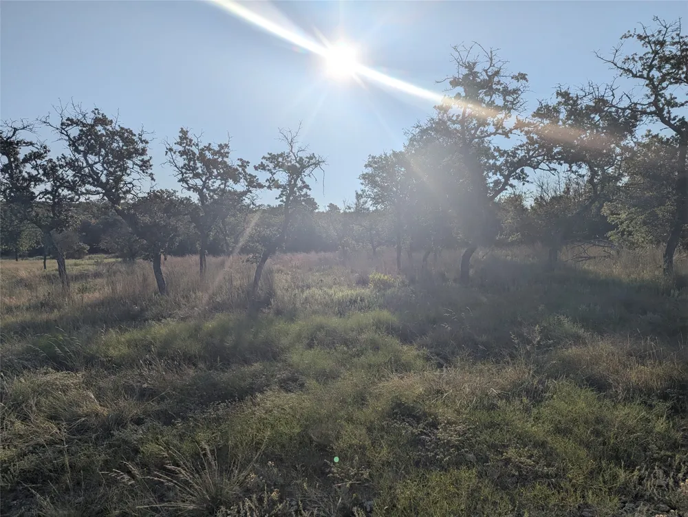 CR 633 Indian Gap, TX 76531