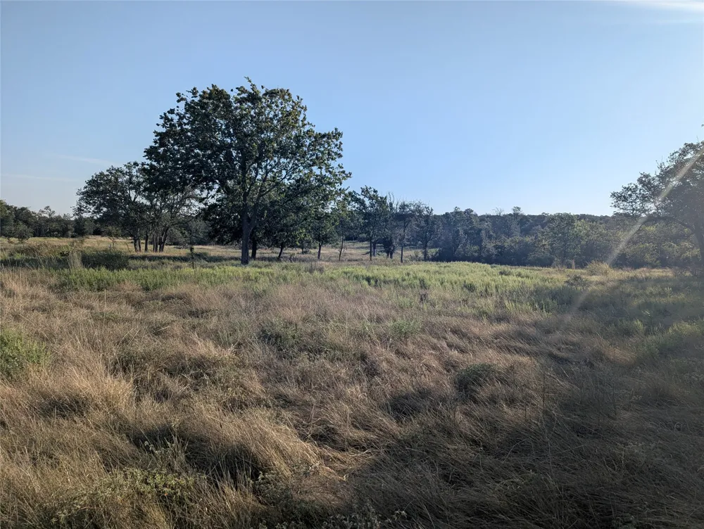 CR 633 Indian Gap, TX 76531