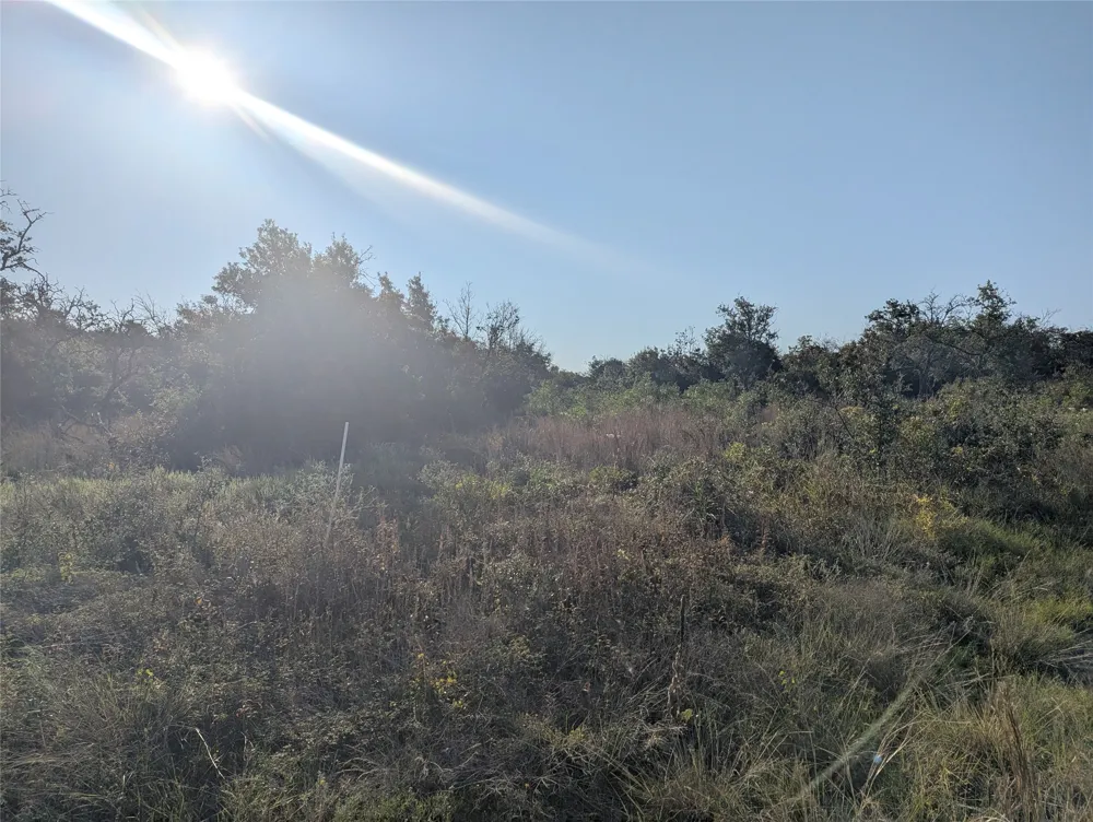 CR 633 Indian Gap, TX 76531