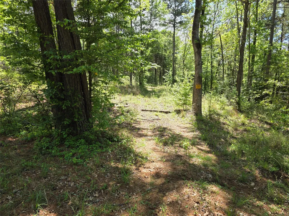 Fm 323 Palestine, TX 75801