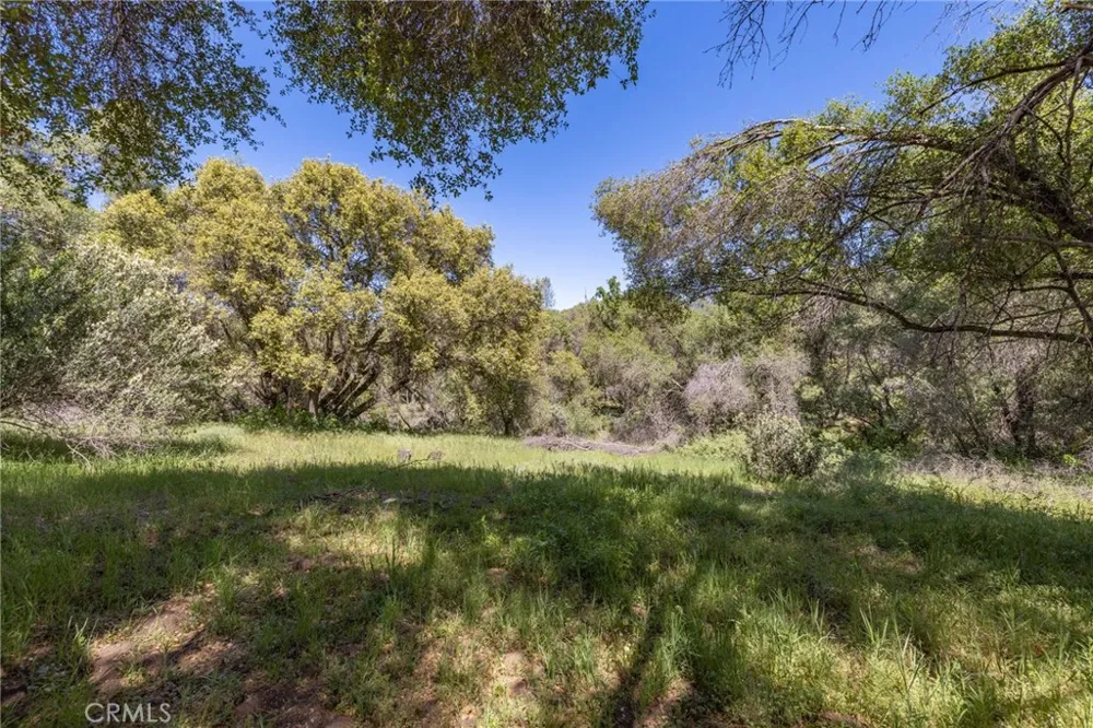 3703 Sherrod Mariposa, CA 95338