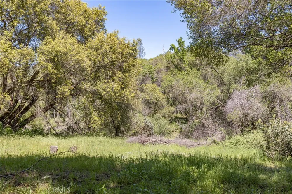 3703 Sherrod Mariposa, CA 95338